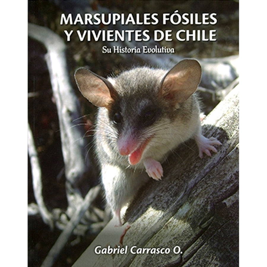 Marsupiales Fósiles y Vivientes en Chile