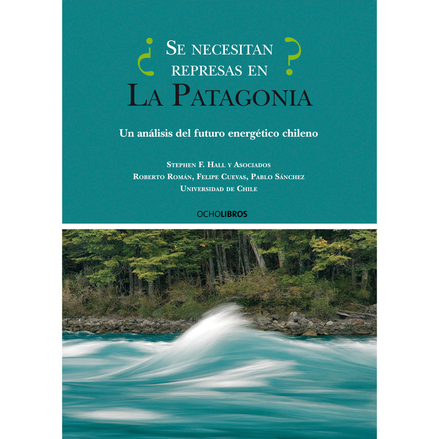 ¿Se necesitan represas en la Patagonia?